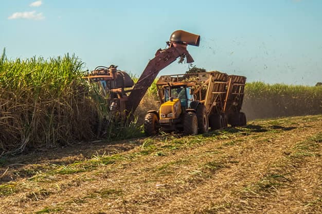 sol agroindustria