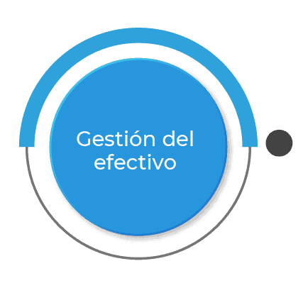 Software Contabilidad, tesorería y presupuesto