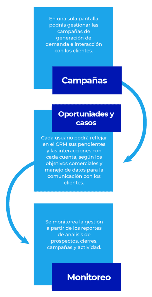 cuadros campanna estandar mov