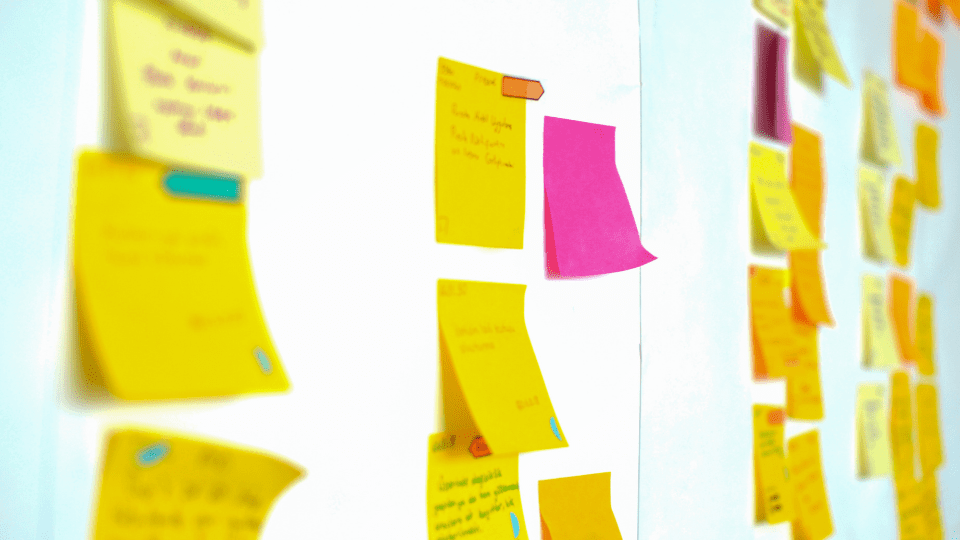 metodologia agile Softland