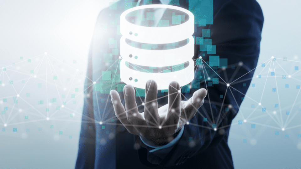 gestion de base de datos Softland